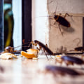 The Critical Importance Of Cockroach Pest Control Service For Home Appraisal In Las Vegas